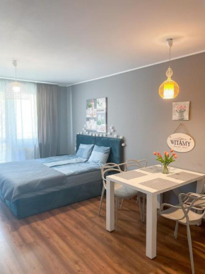 Отель Apartament Zdrojowa  Свиноуйсьце